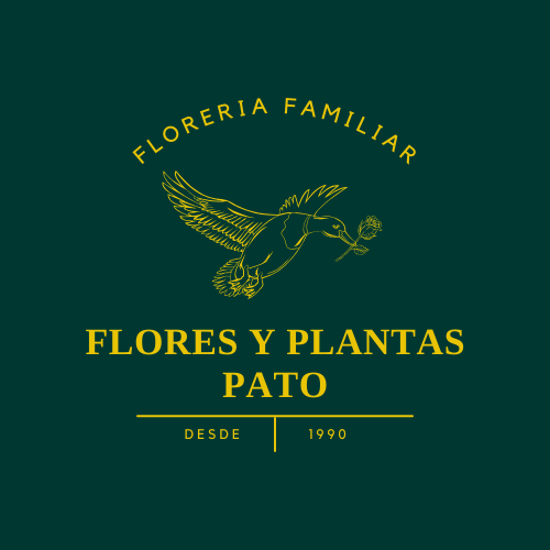 floresyplantaspato